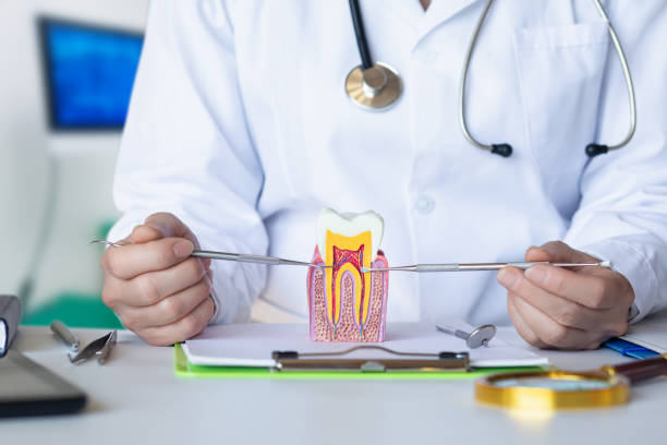Best Emergency Cosmetic Dentistry (e.g., broken veneers) in Spurgeon, TN